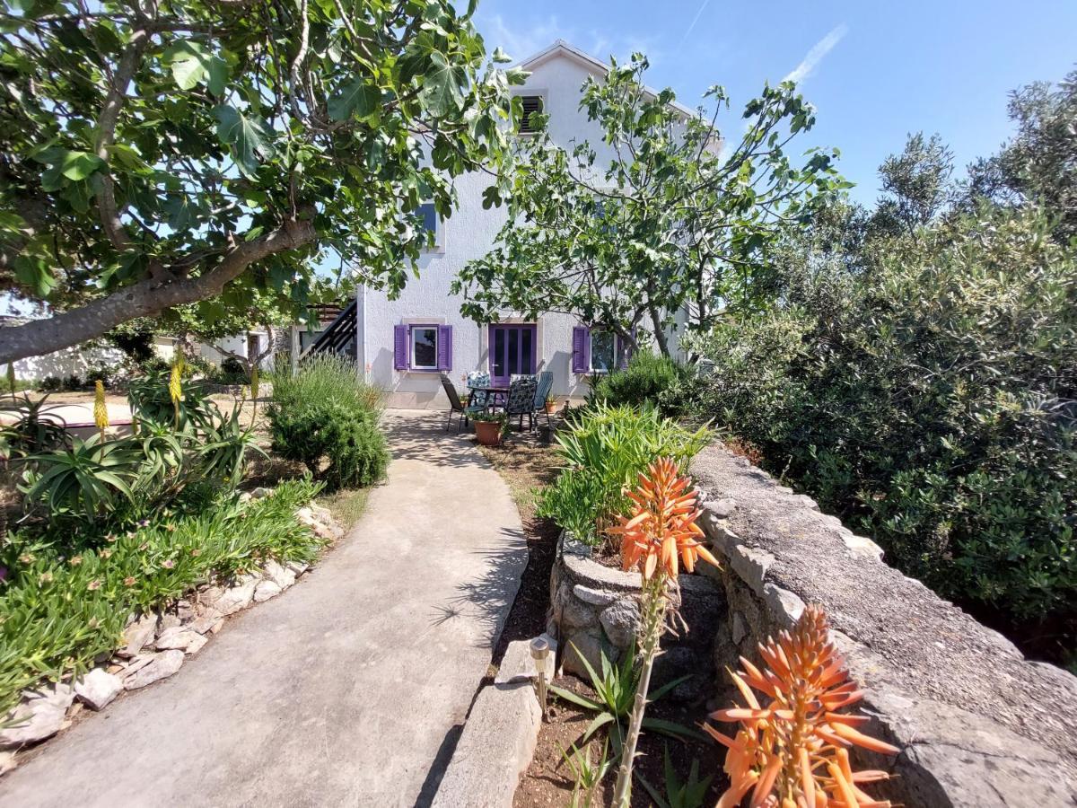 Casa Di Castello Apartment Mali Losinj Ngoại thất bức ảnh